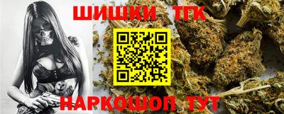 мдпв Гусь-Хрустальный